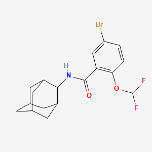 molecular formula C18H20BrF2NO2 B10936803 N~1~-(2-Adamantyl)-5-bromo-2-(difluoromethoxy)benzamide 