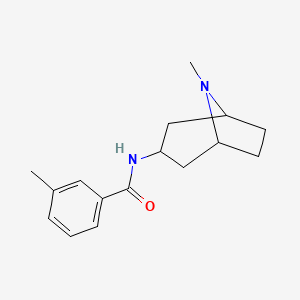 3-methyl-N-(8-methyl-8-azabicyclo[3.2.1]oct-3-yl)benzamide