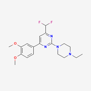 molecular formula C19H24F2N4O2 B10938303 4-(Difluoromethyl)-6-(3,4-dimethoxyphenyl)-2-(4-ethylpiperazin-1-yl)pyrimidine 