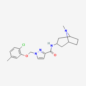 1-[(2-chloro-5-methylphenoxy)methyl]-N-(8-methyl-8-azabicyclo[3.2.1]oct-3-yl)-1H-pyrazole-3-carboxamide