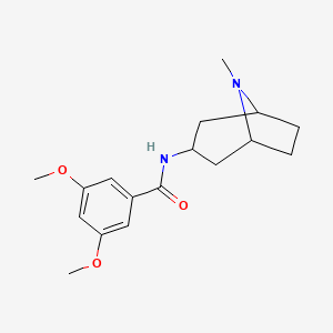 molecular formula C17H24N2O3 B10939569 3,5-dimethoxy-N-(8-methyl-8-azabicyclo[3.2.1]oct-3-yl)benzamide 