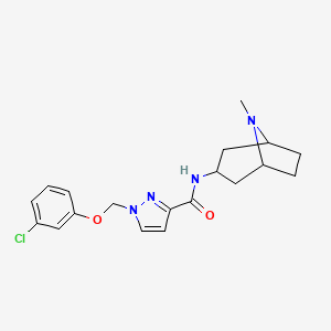 molecular formula C19H23ClN4O2 B10939874 1-[(3-chlorophenoxy)methyl]-N-(8-methyl-8-azabicyclo[3.2.1]oct-3-yl)-1H-pyrazole-3-carboxamide 