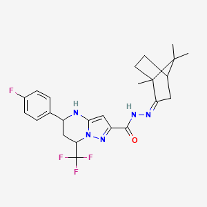 molecular formula C24H27F4N5O B10940369 5-(4-fluorophenyl)-7-(trifluoromethyl)-N'-[(2Z)-1,7,7-trimethylbicyclo[2.2.1]hept-2-ylidene]-4,5,6,7-tetrahydropyrazolo[1,5-a]pyrimidine-2-carbohydrazide 