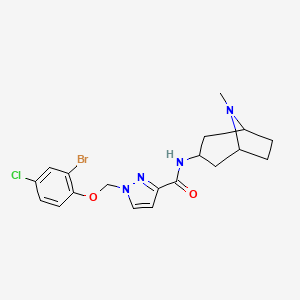 1-[(2-bromo-4-chlorophenoxy)methyl]-N-(8-methyl-8-azabicyclo[3.2.1]oct-3-yl)-1H-pyrazole-3-carboxamide