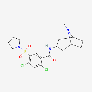 2,4-dichloro-N-(8-methyl-8-azabicyclo[3.2.1]oct-3-yl)-5-(pyrrolidin-1-ylsulfonyl)benzamide