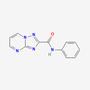 N-phenyl[1,2,4]triazolo[1,5-a]pyrimidine-2-carboxamide