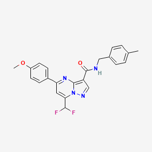 7-(difluoromethyl)-5-(4-methoxyphenyl)-N-[(4-methylphenyl)methyl]pyrazolo[1,5-a]pyrimidine-3-carboxamide