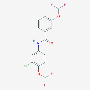 molecular formula C15H10ClF4NO3 B10943282 N-[3-chloro-4-(difluoromethoxy)phenyl]-3-(difluoromethoxy)benzamide 