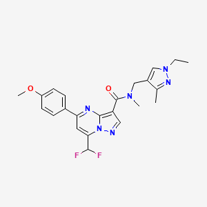 molecular formula C23H24F2N6O2 B10946240 7-(difluoromethyl)-N-[(1-ethyl-3-methyl-1H-pyrazol-4-yl)methyl]-5-(4-methoxyphenyl)-N-methylpyrazolo[1,5-a]pyrimidine-3-carboxamide 