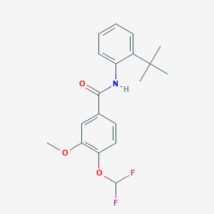 N-(2-tert-butylphenyl)-4-(difluoromethoxy)-3-methoxybenzamide