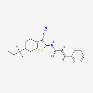 (2E)-N-[3-cyano-6-(2-methylbutan-2-yl)-4,5,6,7-tetrahydro-1-benzothiophen-2-yl]-3-phenylprop-2-enamide