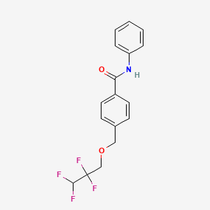 N-phenyl-4-[(2,2,3,3-tetrafluoropropoxy)methyl]benzamide