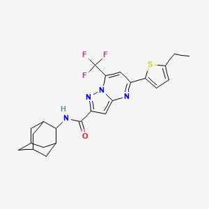 molecular formula C24H25F3N4OS B10949529 N~2~-(2-Adamantyl)-5-(5-ethyl-2-thienyl)-7-(trifluoromethyl)pyrazolo[1,5-A]pyrimidine-2-carboxamide 