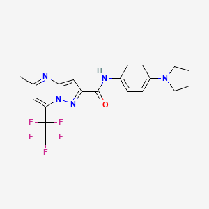 5-methyl-7-(pentafluoroethyl)-N-[4-(pyrrolidin-1-yl)phenyl]pyrazolo[1,5-a]pyrimidine-2-carboxamide