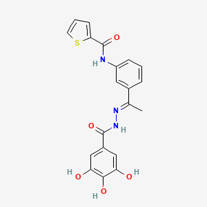 N-{3-[(1E)-1-{2-[(3,4,5-trihydroxyphenyl)carbonyl]hydrazinylidene}ethyl]phenyl}thiophene-2-carboxamide