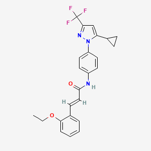 molecular formula C24H22F3N3O2 B10951845 (2E)-N-{4-[5-cyclopropyl-3-(trifluoromethyl)-1H-pyrazol-1-yl]phenyl}-3-(2-ethoxyphenyl)prop-2-enamide 