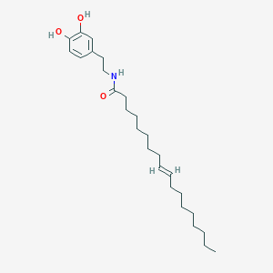 molecular formula C26H43NO3 B109530 N-油酰多巴胺 CAS No. 105955-11-1