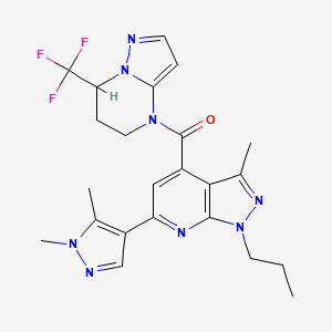 molecular formula C23H25F3N8O B10953190 [6-(1,5-dimethyl-1H-pyrazol-4-yl)-3-methyl-1-propyl-1H-pyrazolo[3,4-b]pyridin-4-yl][7-(trifluoromethyl)-6,7-dihydropyrazolo[1,5-a]pyrimidin-4(5H)-yl]methanone 