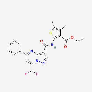 molecular formula C23H20F2N4O3S B10953802 Ethyl 2-({[7-(difluoromethyl)-5-phenylpyrazolo[1,5-a]pyrimidin-3-yl]carbonyl}amino)-4,5-dimethylthiophene-3-carboxylate 