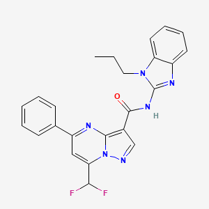 molecular formula C24H20F2N6O B10954112 7-(difluoromethyl)-5-phenyl-N-(1-propyl-1H-benzimidazol-2-yl)pyrazolo[1,5-a]pyrimidine-3-carboxamide 