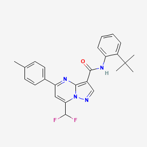 molecular formula C25H24F2N4O B10954503 N-(2-tert-butylphenyl)-7-(difluoromethyl)-5-(4-methylphenyl)pyrazolo[1,5-a]pyrimidine-3-carboxamide 