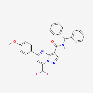 molecular formula C28H22F2N4O2 B10954865 N-benzhydryl-7-(difluoromethyl)-5-(4-methoxyphenyl)pyrazolo[1,5-a]pyrimidine-3-carboxamide 