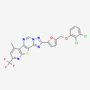 molecular formula C23H12Cl2F3N5O2S B10955854 4-[5-[(2,3-dichlorophenoxy)methyl]furan-2-yl]-11-methyl-13-(trifluoromethyl)-16-thia-3,5,6,8,14-pentazatetracyclo[7.7.0.02,6.010,15]hexadeca-1(9),2,4,7,10(15),11,13-heptaene 