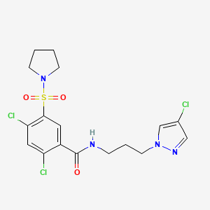 2,4-dichloro-N-[3-(4-chloro-1H-pyrazol-1-yl)propyl]-5-(pyrrolidin-1-ylsulfonyl)benzamide