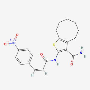 molecular formula C20H21N3O4S B10959065 2-{[(2Z)-3-(4-nitrophenyl)prop-2-enoyl]amino}-4,5,6,7,8,9-hexahydrocycloocta[b]thiophene-3-carboxamide 