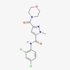 N-(2,4-dichlorophenyl)-1-methyl-3-(morpholin-4-ylcarbonyl)-1H-pyrazole-5-carboxamide