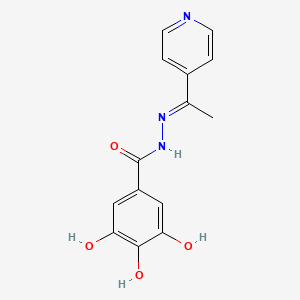 molecular formula C14H13N3O4 B10960249 3,4,5-trihydroxy-N'-[(1E)-1-(pyridin-4-yl)ethylidene]benzohydrazide 