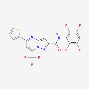 molecular formula C18H7F7N4OS B10960416 N-(2,3,5,6-tetrafluorophenyl)-5-(thiophen-2-yl)-7-(trifluoromethyl)pyrazolo[1,5-a]pyrimidine-2-carboxamide 