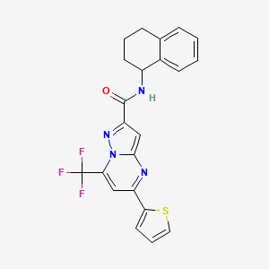 molecular formula C22H17F3N4OS B10960419 N-(1,2,3,4-tetrahydronaphthalen-1-yl)-5-(thiophen-2-yl)-7-(trifluoromethyl)pyrazolo[1,5-a]pyrimidine-2-carboxamide 