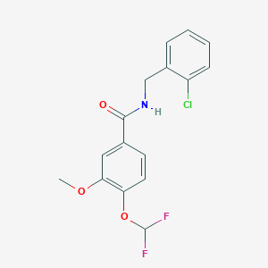 N-(2-chlorobenzyl)-4-(difluoromethoxy)-3-methoxybenzamide