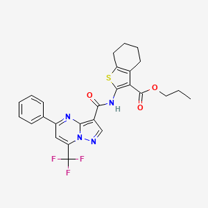 molecular formula C26H23F3N4O3S B10961677 Propyl 2-({[5-phenyl-7-(trifluoromethyl)pyrazolo[1,5-a]pyrimidin-3-yl]carbonyl}amino)-4,5,6,7-tetrahydro-1-benzothiophene-3-carboxylate 