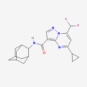 N-(2-adamantyl)-5-cyclopropyl-7-(difluoromethyl)pyrazolo[1,5-a]pyrimidine-3-carboxamide