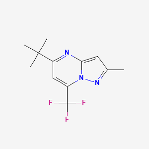 molecular formula C12H14F3N3 B10962183 5-Tert-butyl-2-methyl-7-(trifluoromethyl)pyrazolo[1,5-a]pyrimidine 