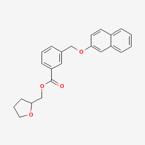 Tetrahydrofuran-2-ylmethyl 3-[(naphthalen-2-yloxy)methyl]benzoate