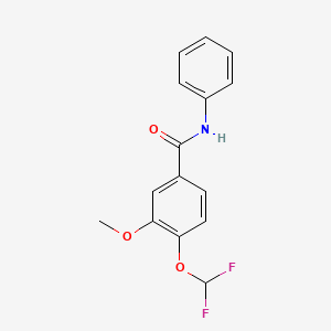 4-(difluoromethoxy)-3-methoxy-N-phenylbenzamide