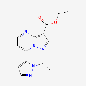 molecular formula C14H15N5O2 B10962574 ethyl 7-(1-ethyl-1H-pyrazol-5-yl)pyrazolo[1,5-a]pyrimidine-3-carboxylate 