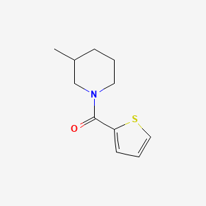 (3-Methylpiperidin-1-yl)(thiophen-2-yl)methanone