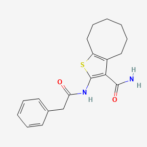 molecular formula C19H22N2O2S B10963122 2-[(2-Phenylacetyl)amino]-4,5,6,7,8,9-hexahydrocycloocta[b]thiophene-3-carboxamide 