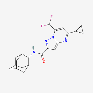 molecular formula C21H24F2N4O B10963401 N-(2-adamantyl)-5-cyclopropyl-7-(difluoromethyl)pyrazolo[1,5-a]pyrimidine-2-carboxamide 