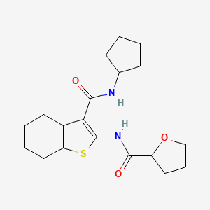 N-[3-(cyclopentylcarbamoyl)-4,5,6,7-tetrahydro-1-benzothiophen-2-yl]tetrahydrofuran-2-carboxamide