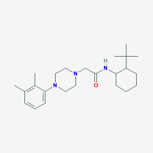 N-(2-tert-butylcyclohexyl)-2-[4-(2,3-dimethylphenyl)piperazin-1-yl]acetamide