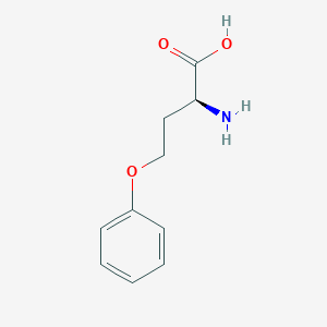 molecular formula C10H13NO3 B109654 (2S)-2-氨基-4-苯氧基丁酸 CAS No. 52161-80-5