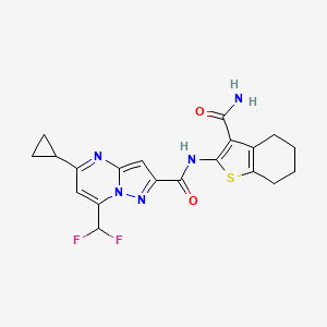 N-(3-carbamoyl-4,5,6,7-tetrahydro-1-benzothiophen-2-yl)-5-cyclopropyl-7-(difluoromethyl)pyrazolo[1,5-a]pyrimidine-2-carboxamide