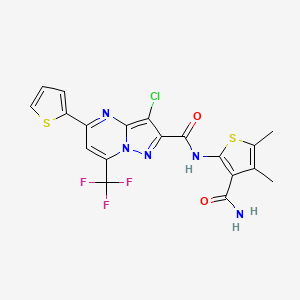 molecular formula C19H13ClF3N5O2S2 B10965657 N-(3-carbamoyl-4,5-dimethylthiophen-2-yl)-3-chloro-5-(thiophen-2-yl)-7-(trifluoromethyl)pyrazolo[1,5-a]pyrimidine-2-carboxamide 