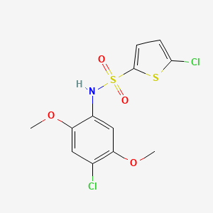 molecular formula C12H11Cl2NO4S2 B10966659 5-chloro-N-(4-chloro-2,5-dimethoxyphenyl)thiophene-2-sulfonamide 