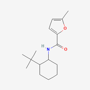 molecular formula C16H25NO2 B10968022 N-(2-tert-butylcyclohexyl)-5-methylfuran-2-carboxamide 